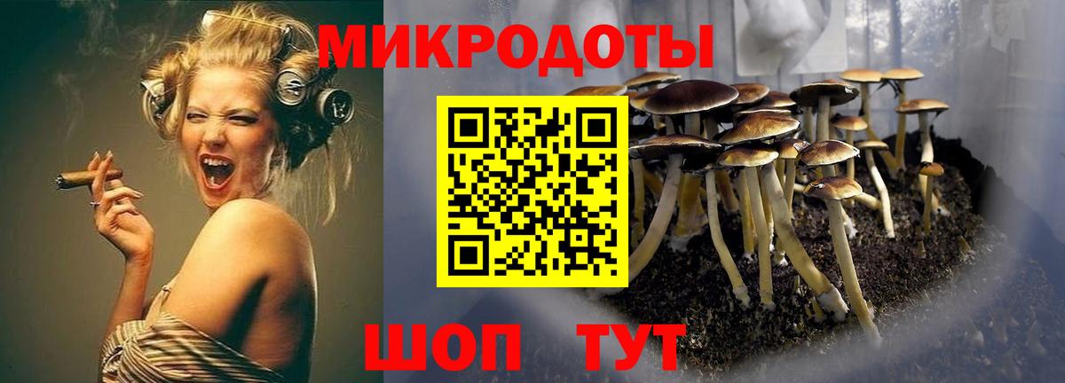 Псилоцибиновые грибы мицелий  Вход с VPN  Псилоцибиновые грибы Magic Shrooms  Коломна 