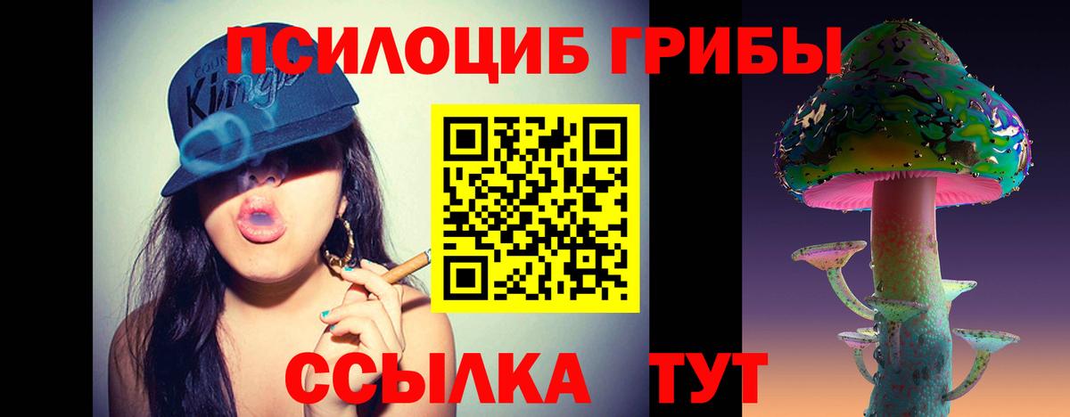 Псилоцибиновые грибы Cubensis Коломна