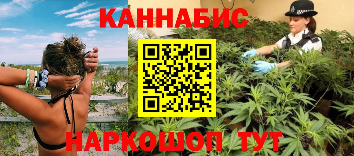 Канабис план  Вход с VPN  Коломна  Каннабис планчик 